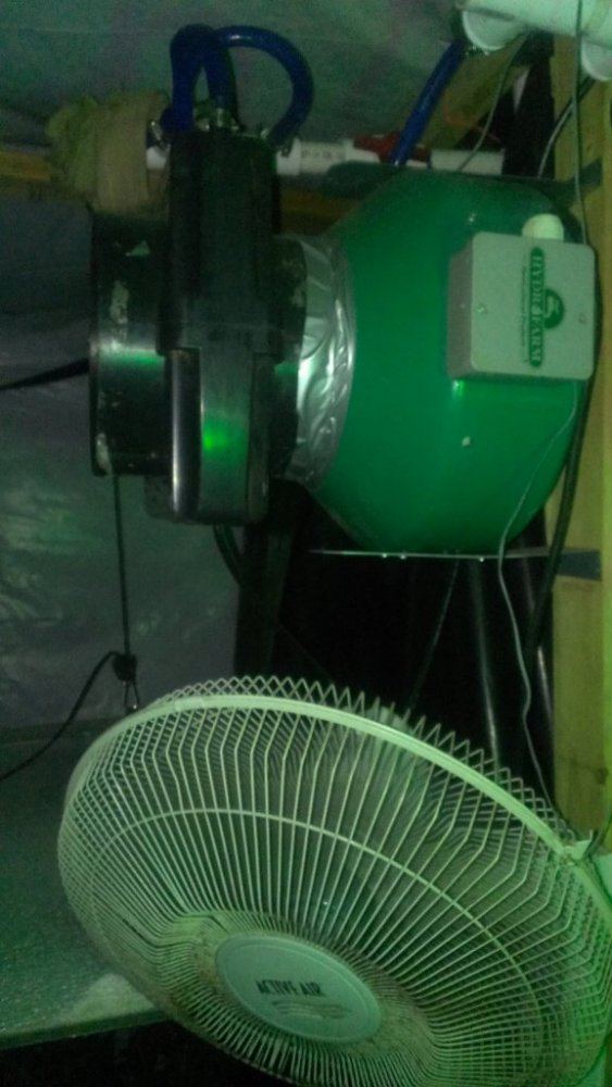 Tmp IMAG0524407621880