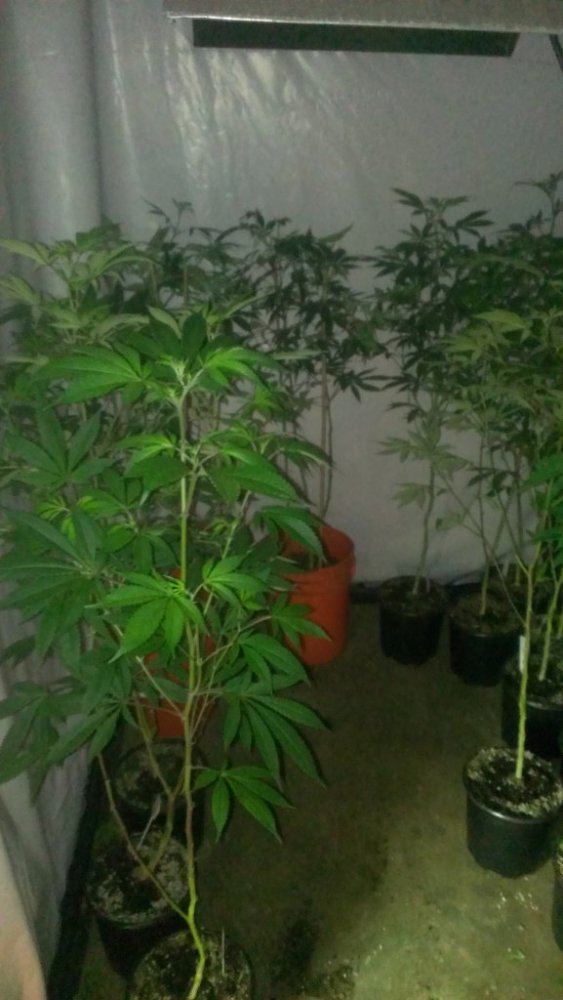 Tmp IMAG0588 947200861