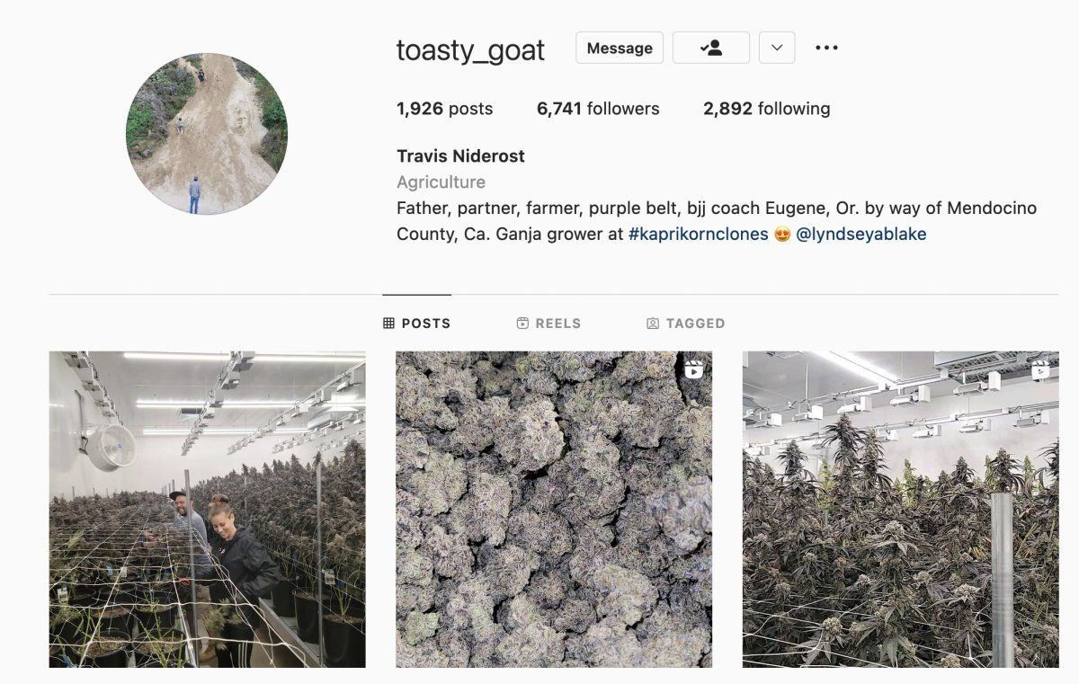 Toasty goat