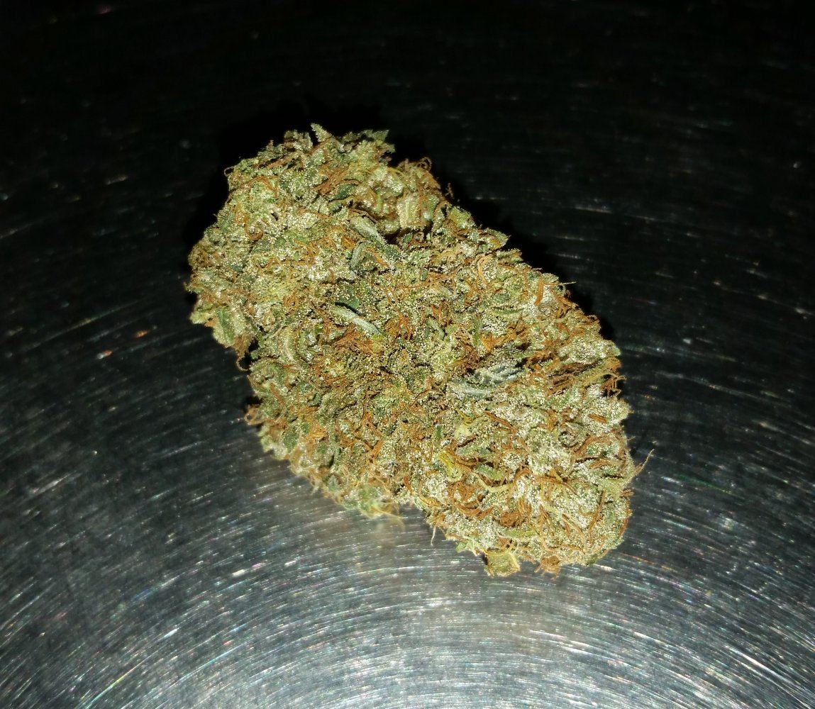 Tokyo pheno2Flower