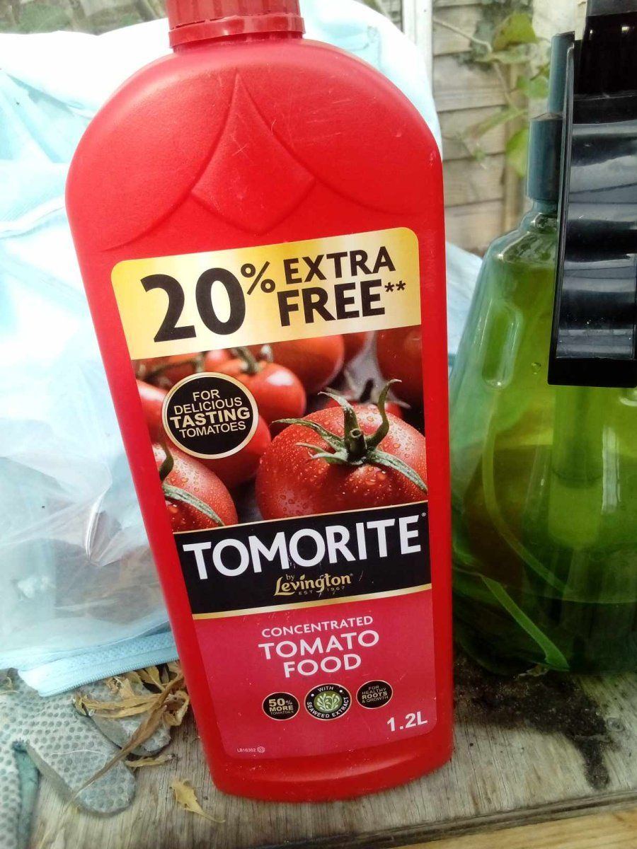 Tomorite