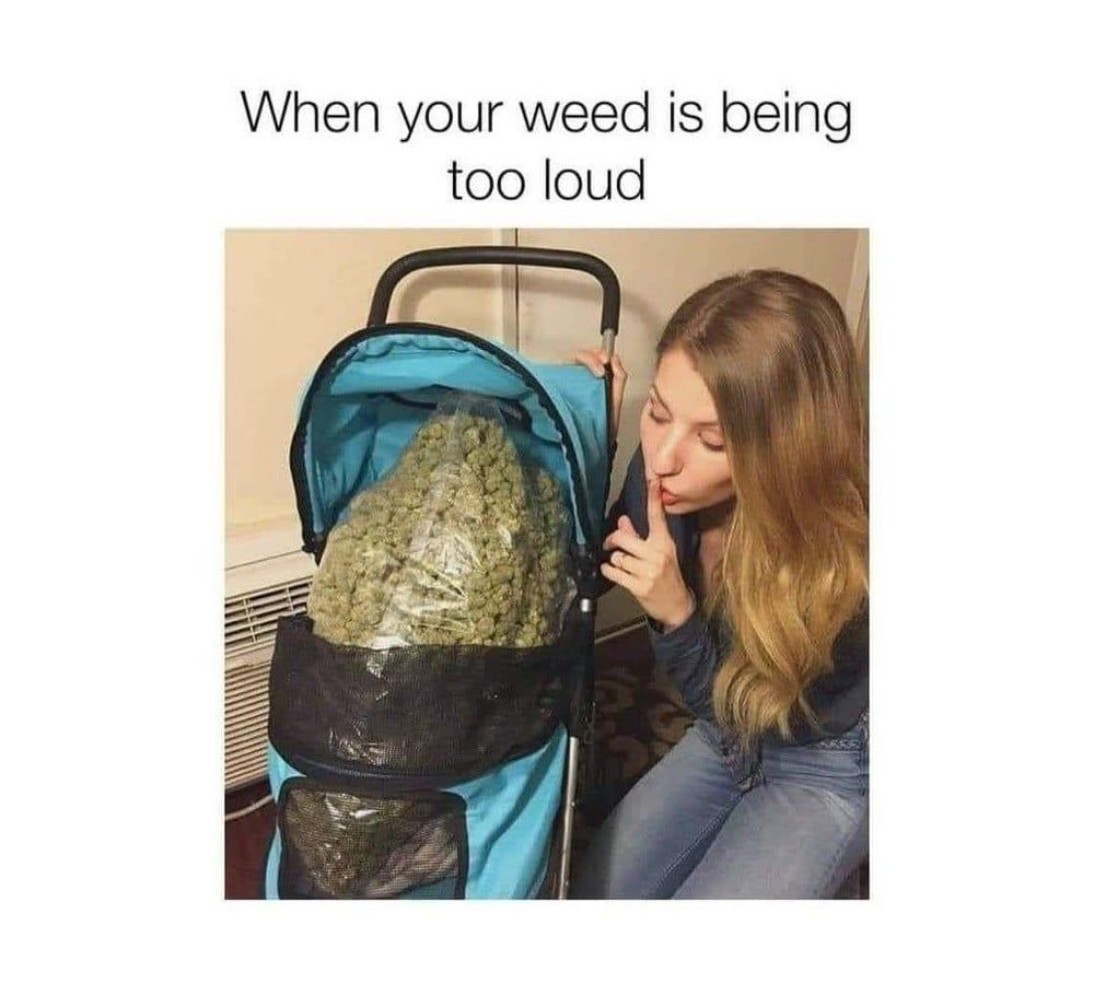 Too loud weed meme 1
