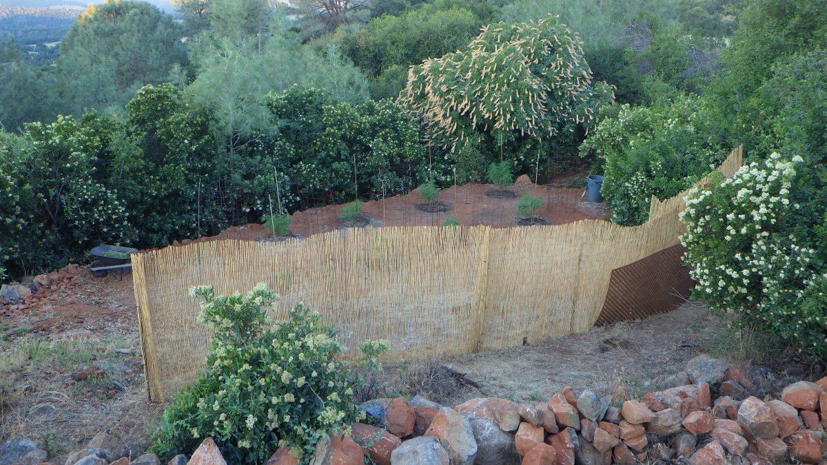 Topside garden pic