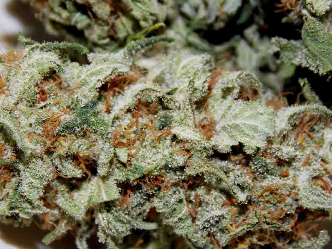 Tora Bora