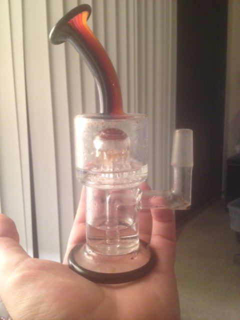 Toro mico