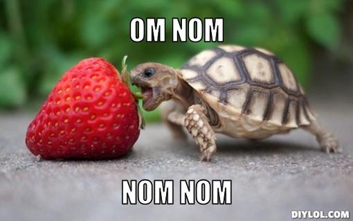 Tortoise meme generator om nom nom nom 18ab6a