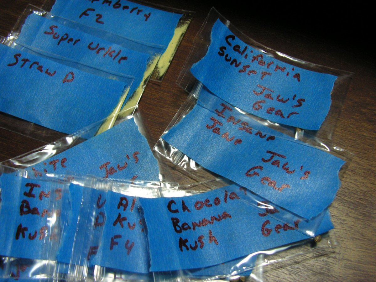 Trade package