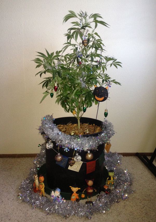 Tree