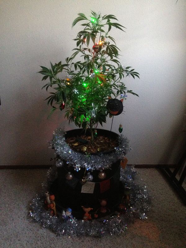 Tree2