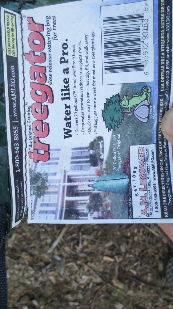 Treegator 001