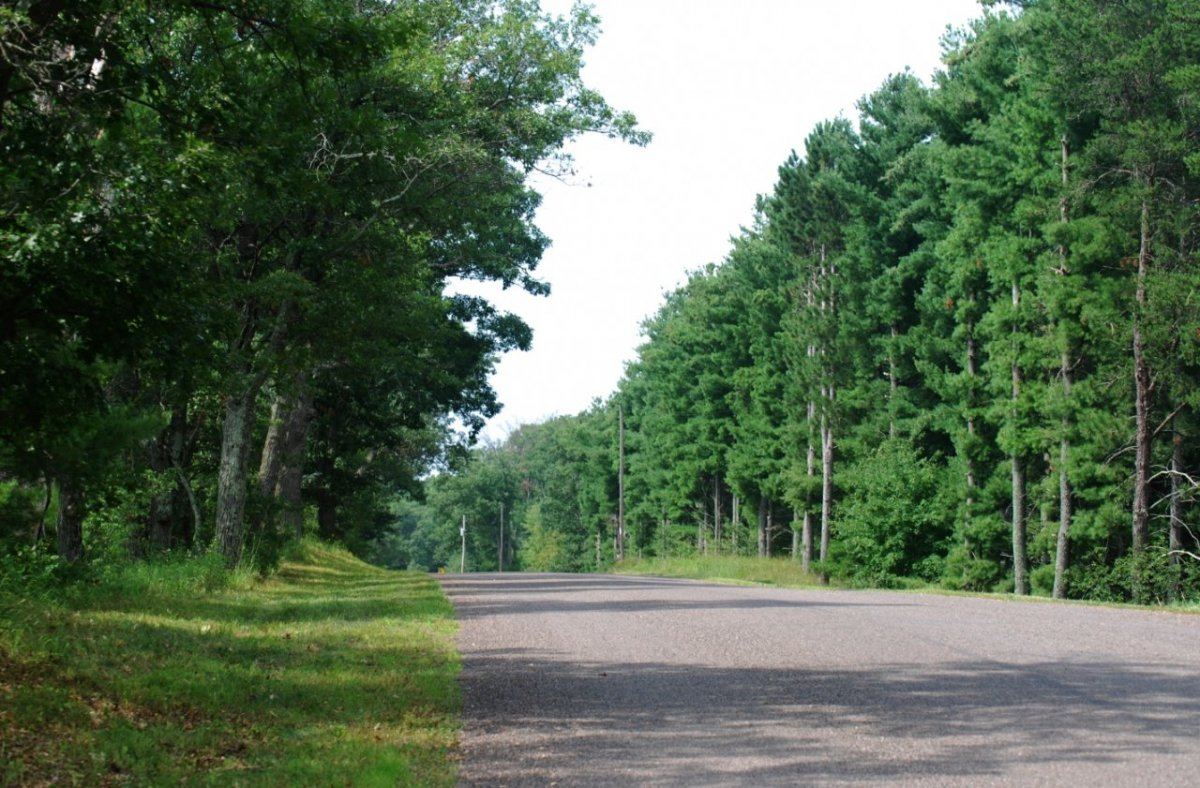Trees 67