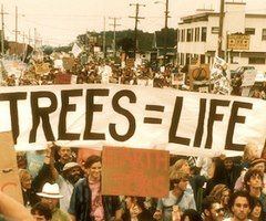 Trees