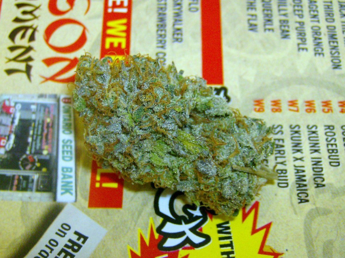 Tres kush 2