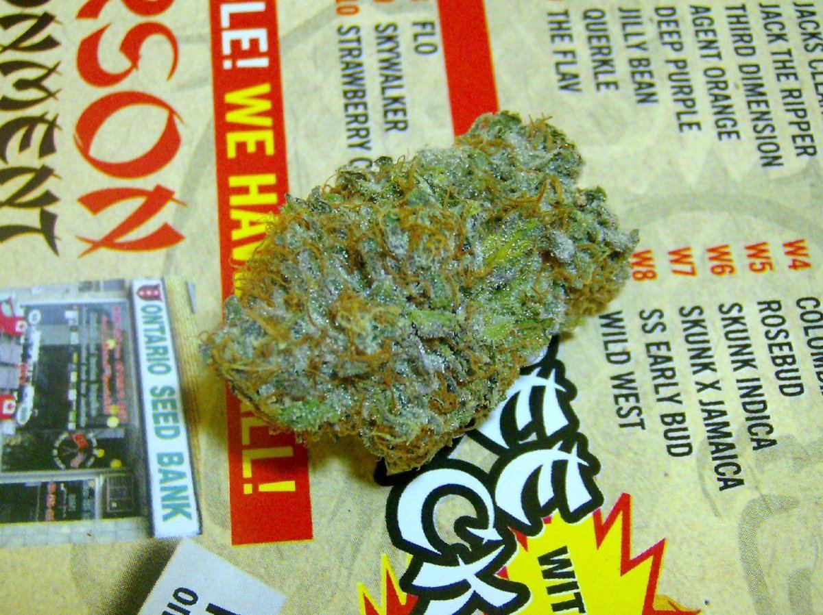 Tres kush