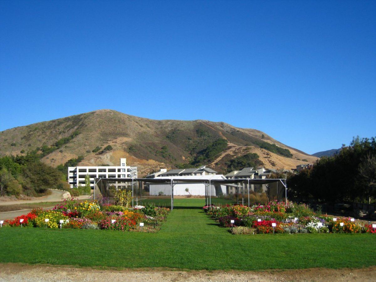 TrialDisplay Garden02