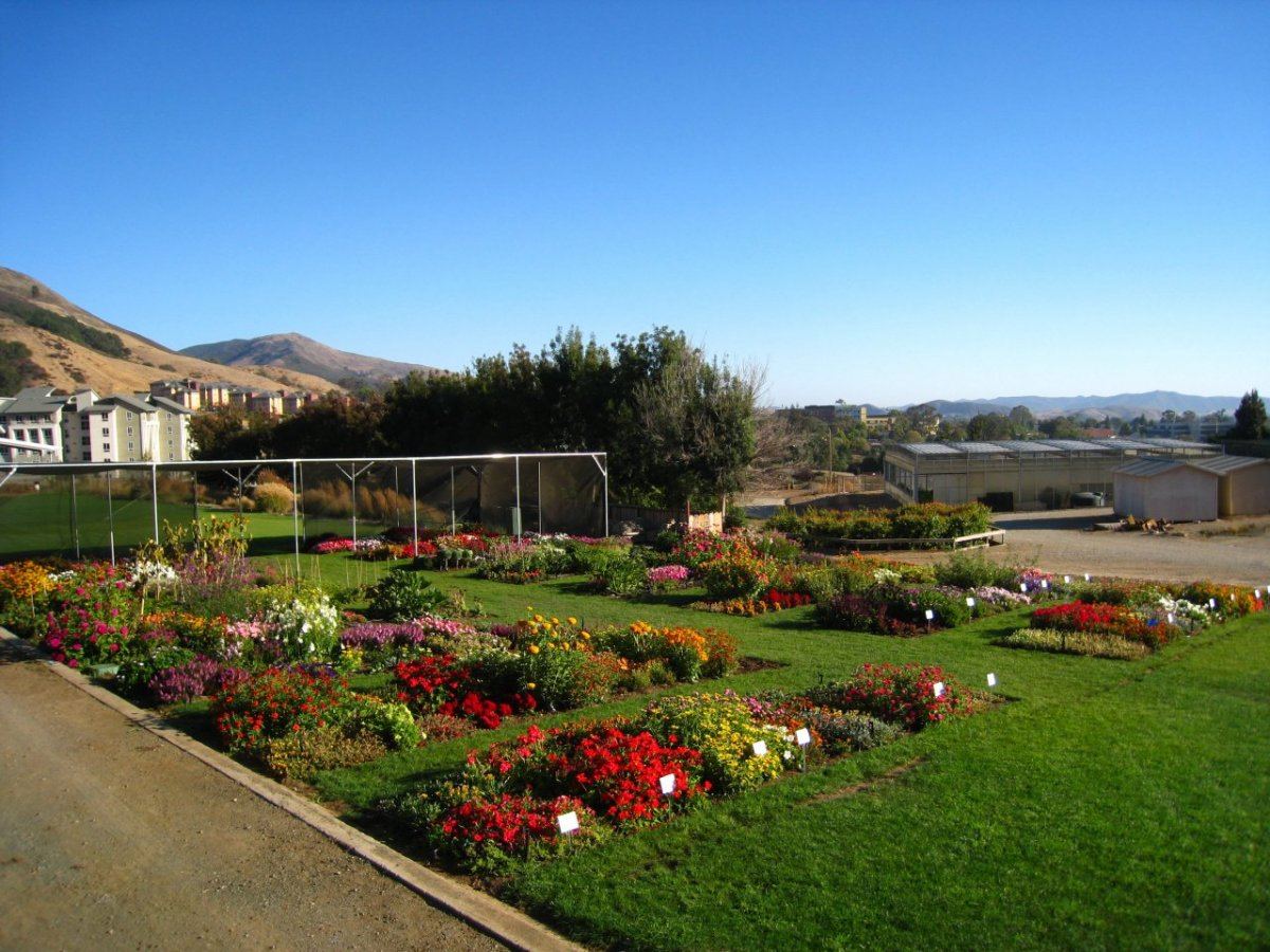 TrialDisplay Garden06