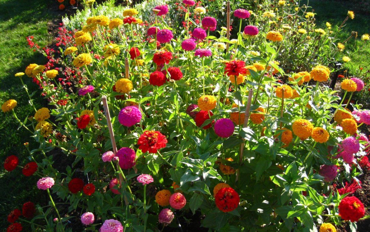 TrialDisplay Garden07