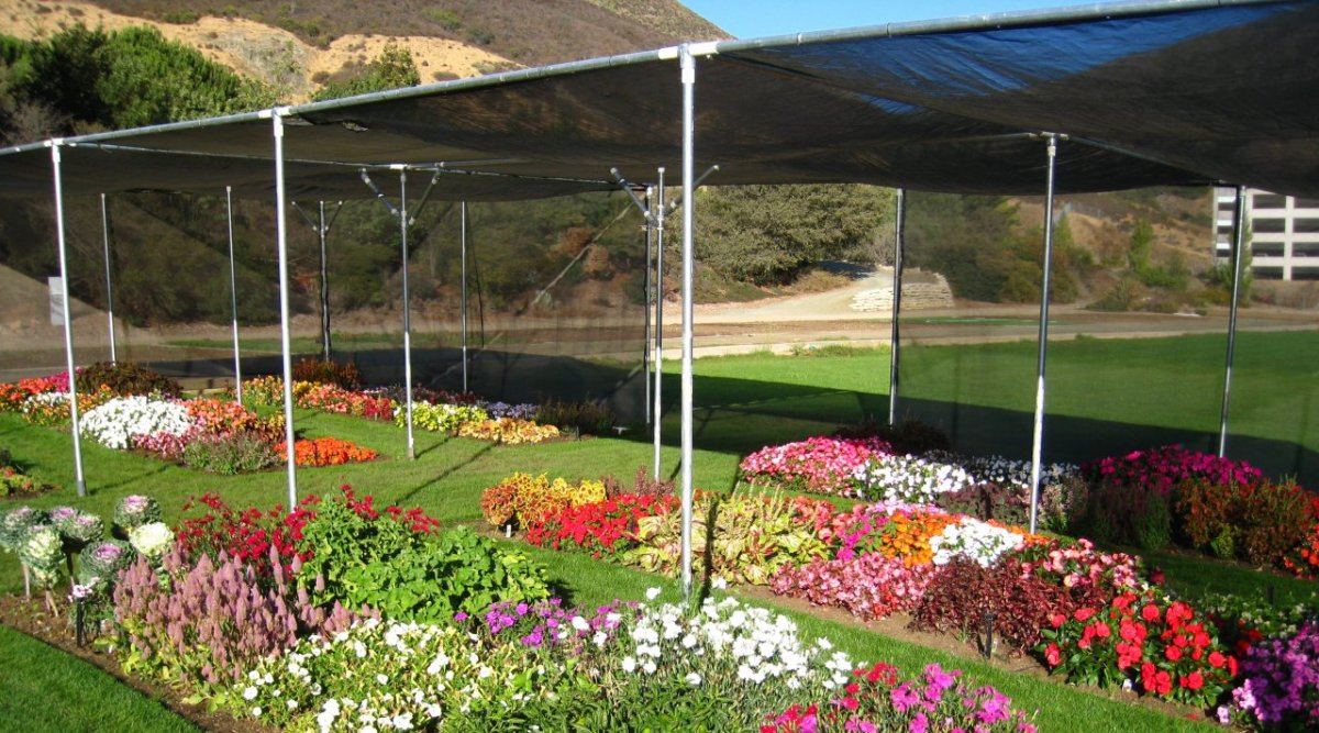 TrialDisplay Garden08
