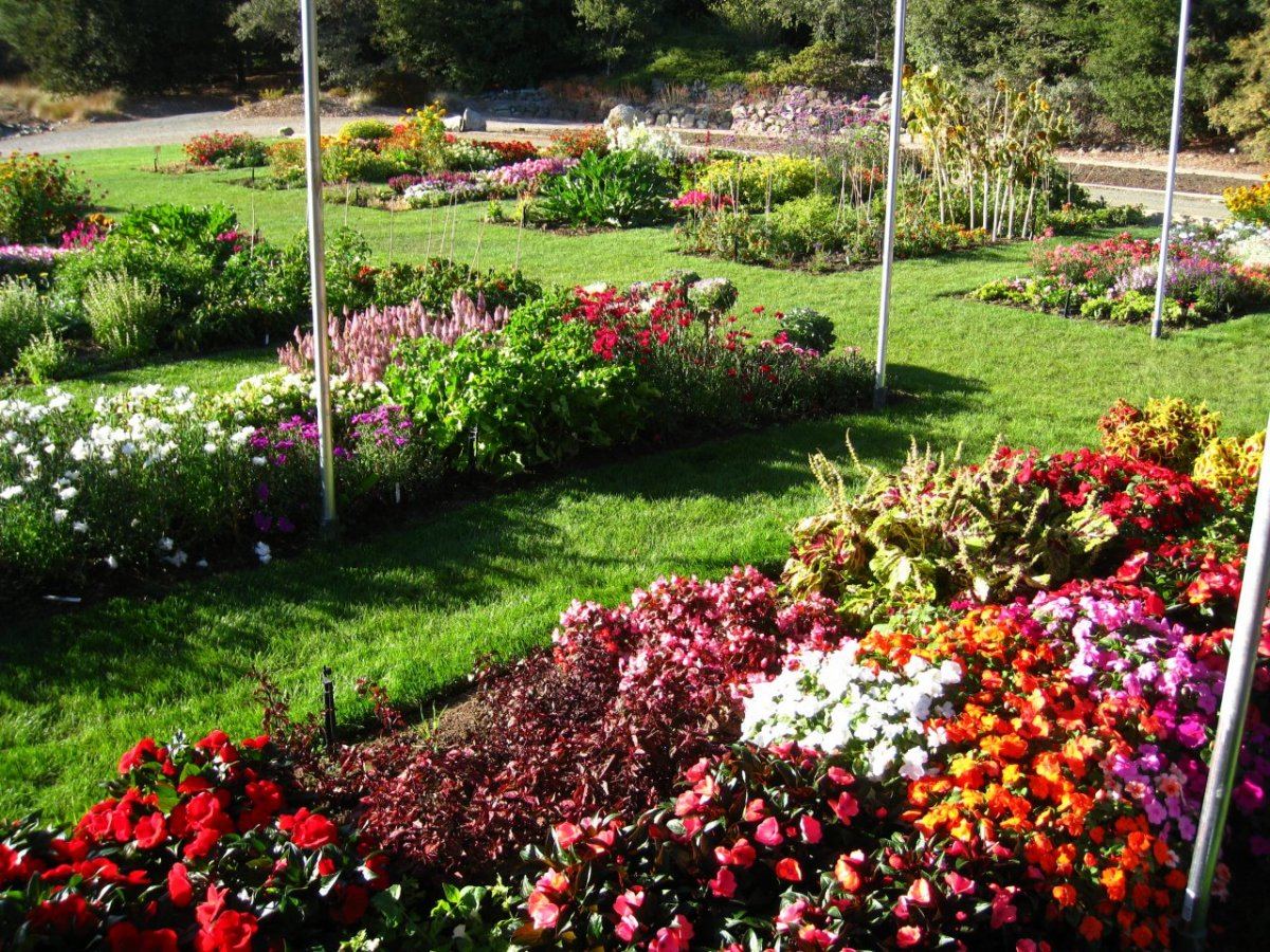 TrialDisplay Garden10