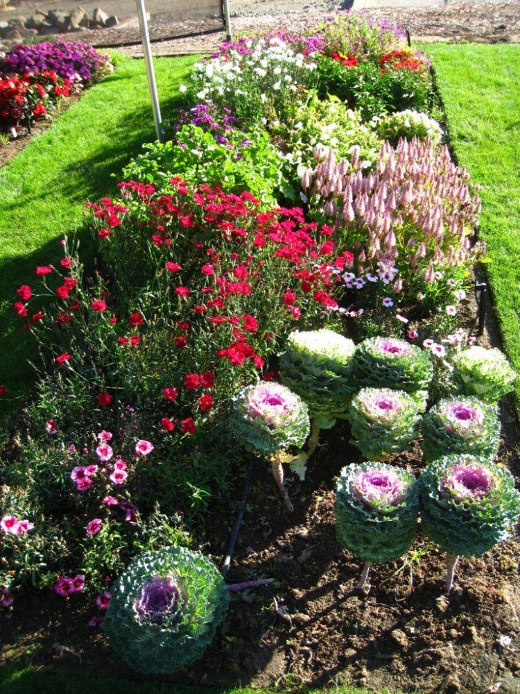 TrialDisplay Garden12