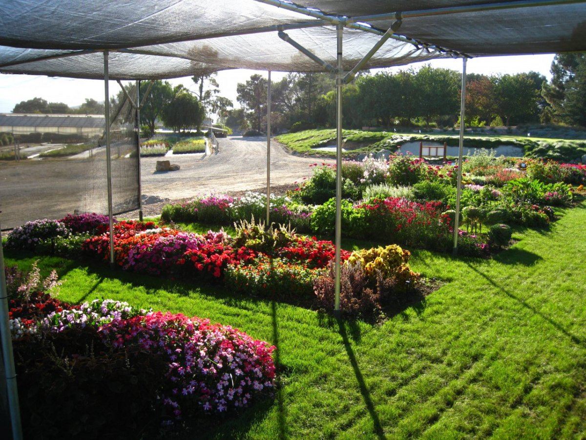 TrialDisplay Garden14