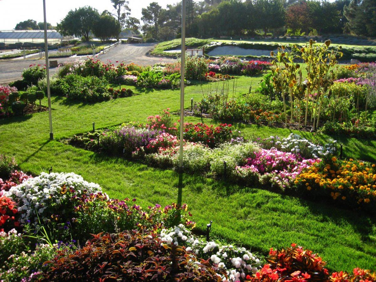 TrialDisplay Garden16
