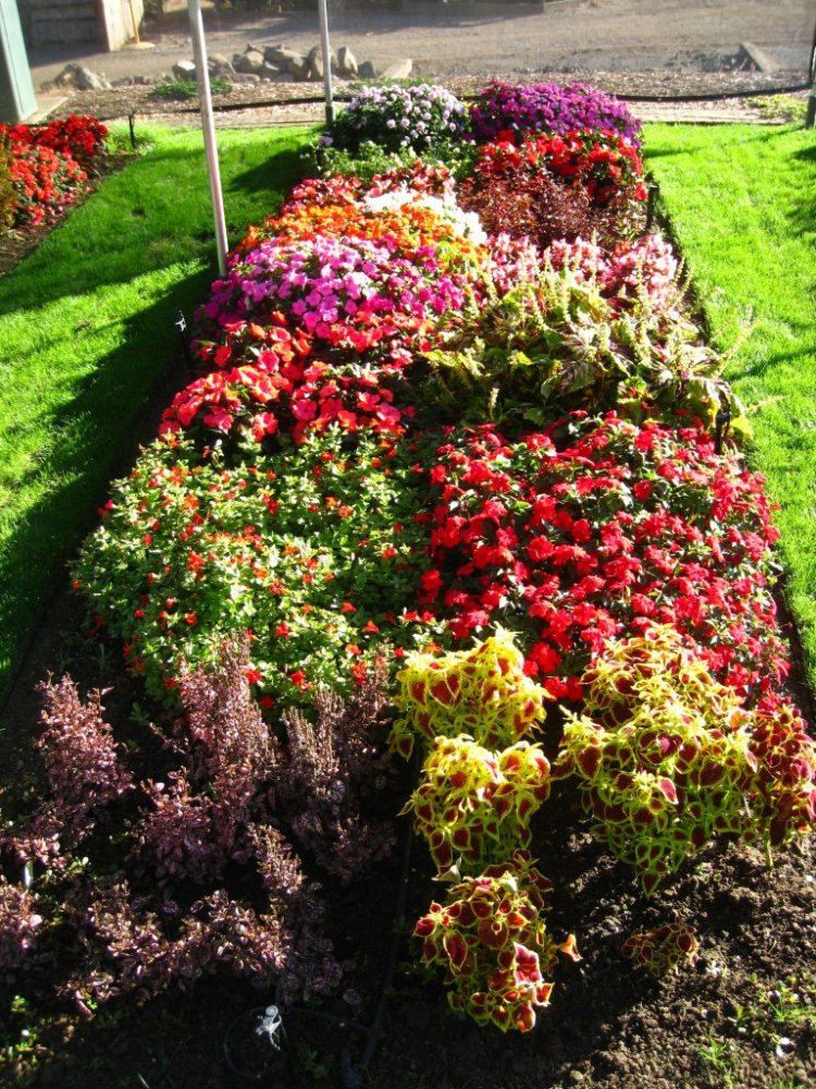 TrialDisplay Garden18