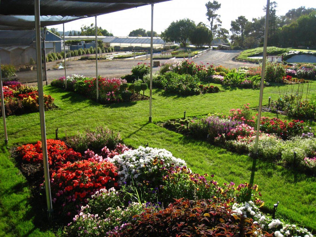 TrialDisplay Garden20