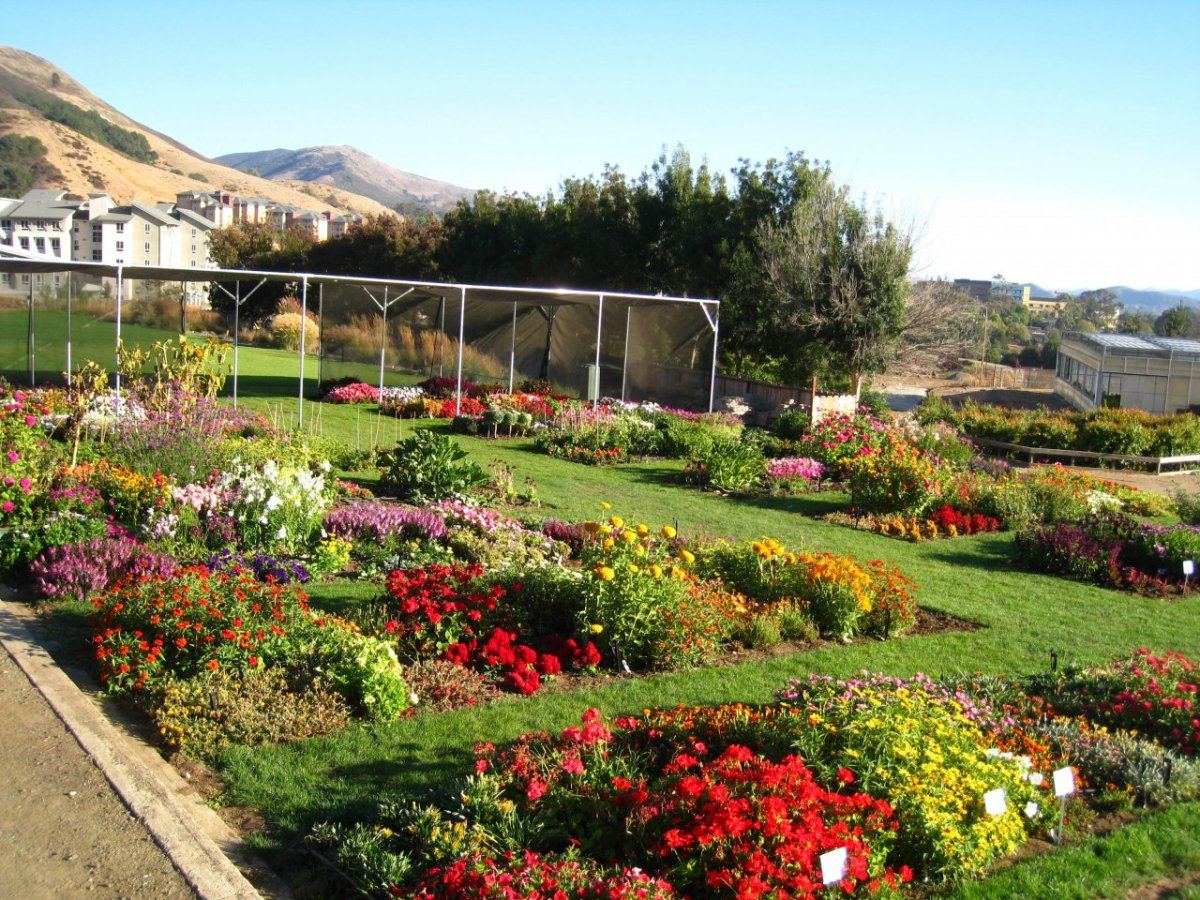 TrialDisplay Garden22