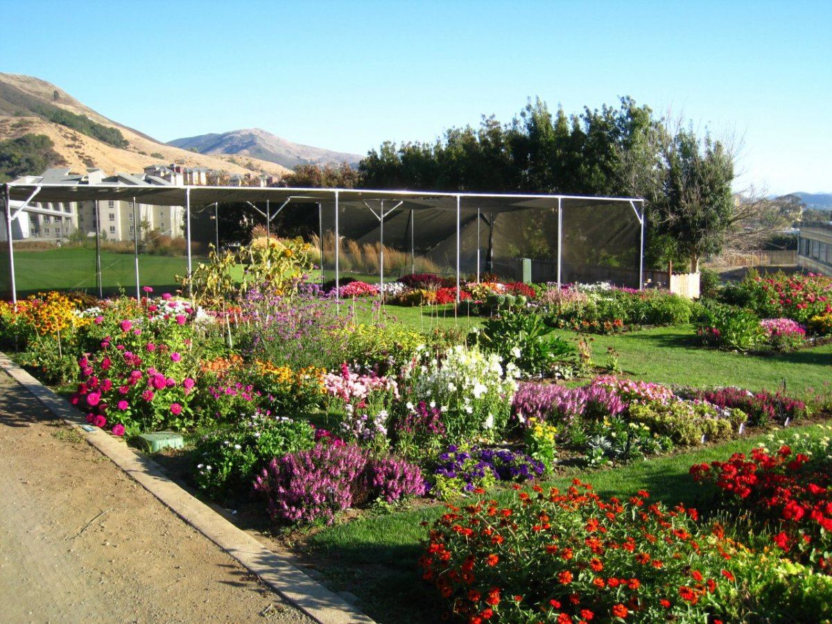 TrialDisplay Garden24