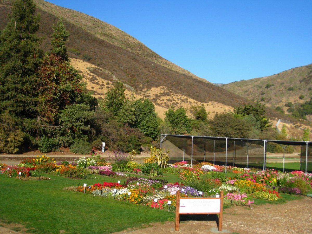 TrialDisplay Garden28