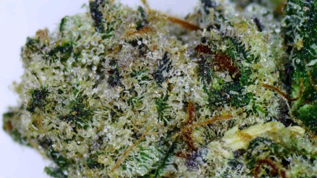 Triangle grape cake