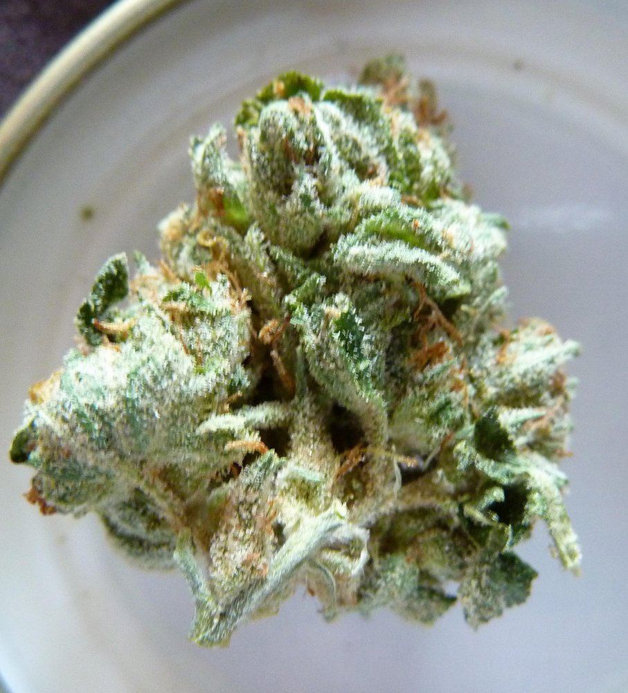 Triangle kush1