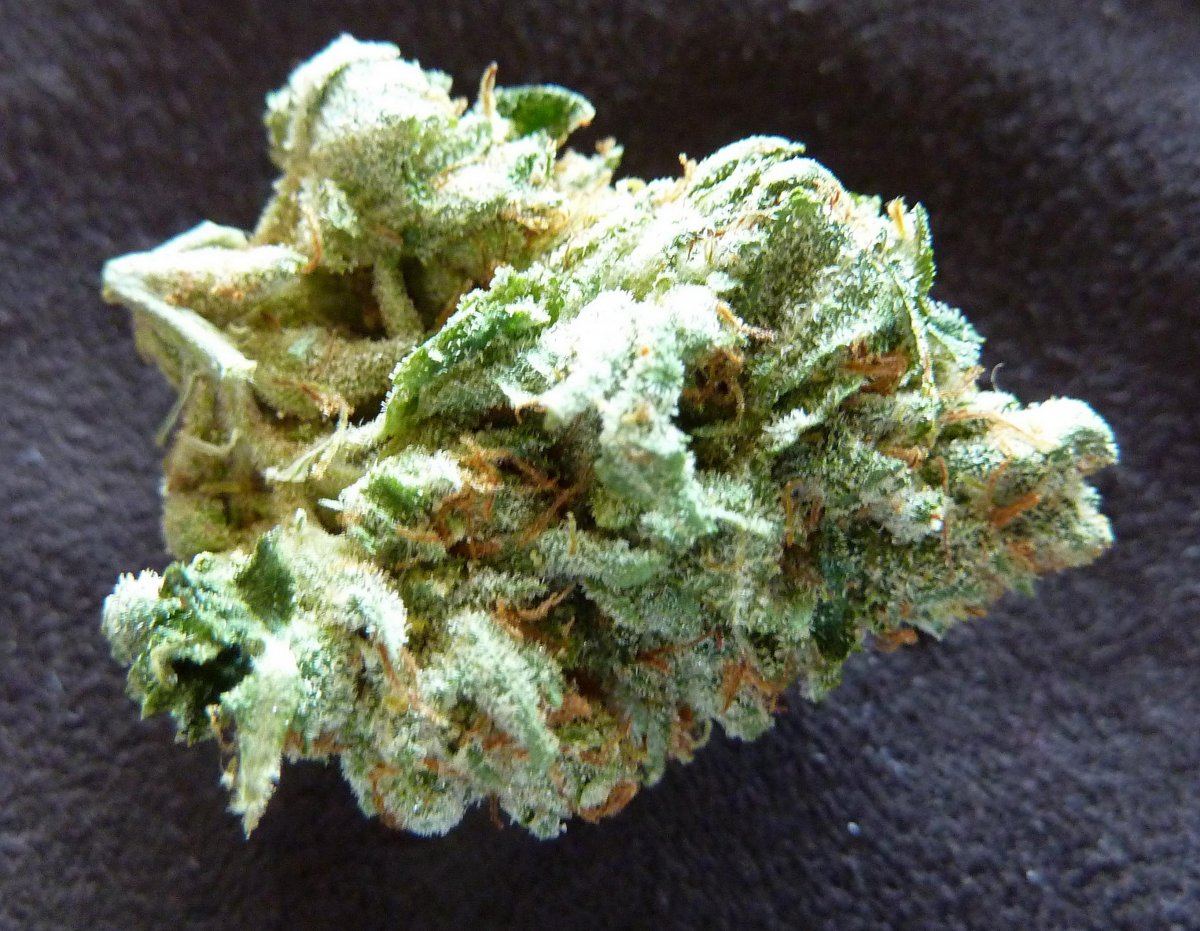 Triangle kush21