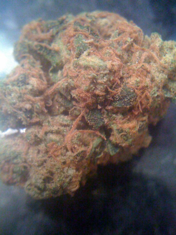 Trianglekush2
