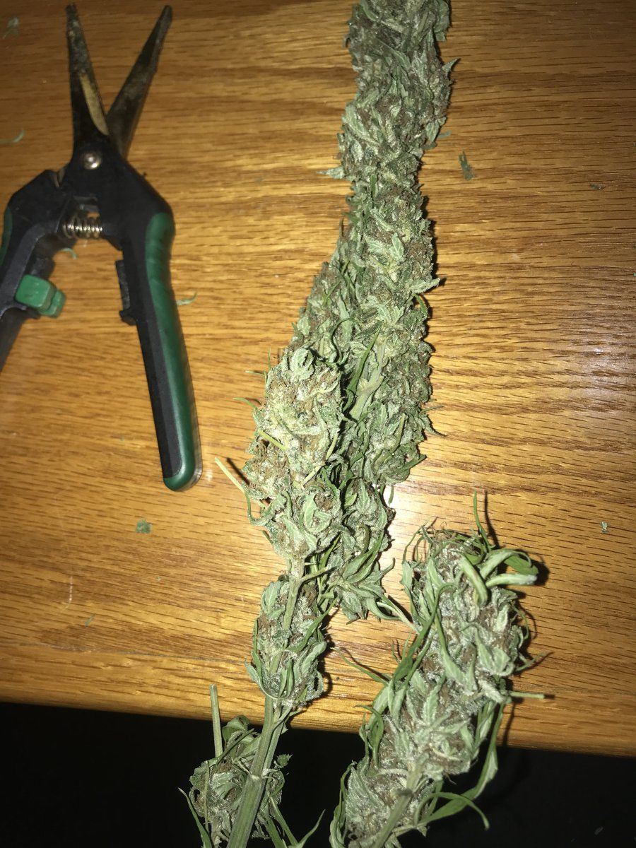Trim