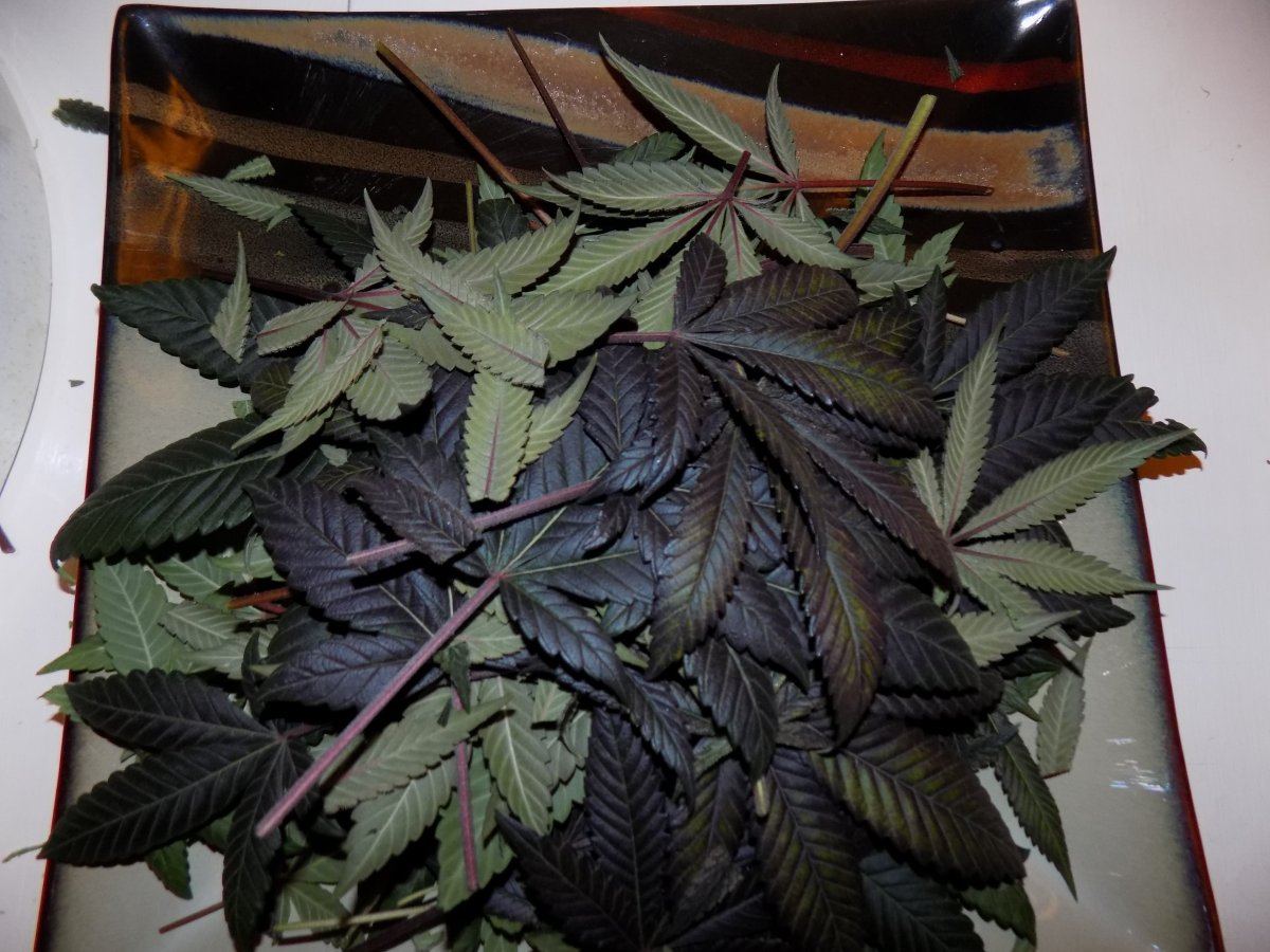 Trim