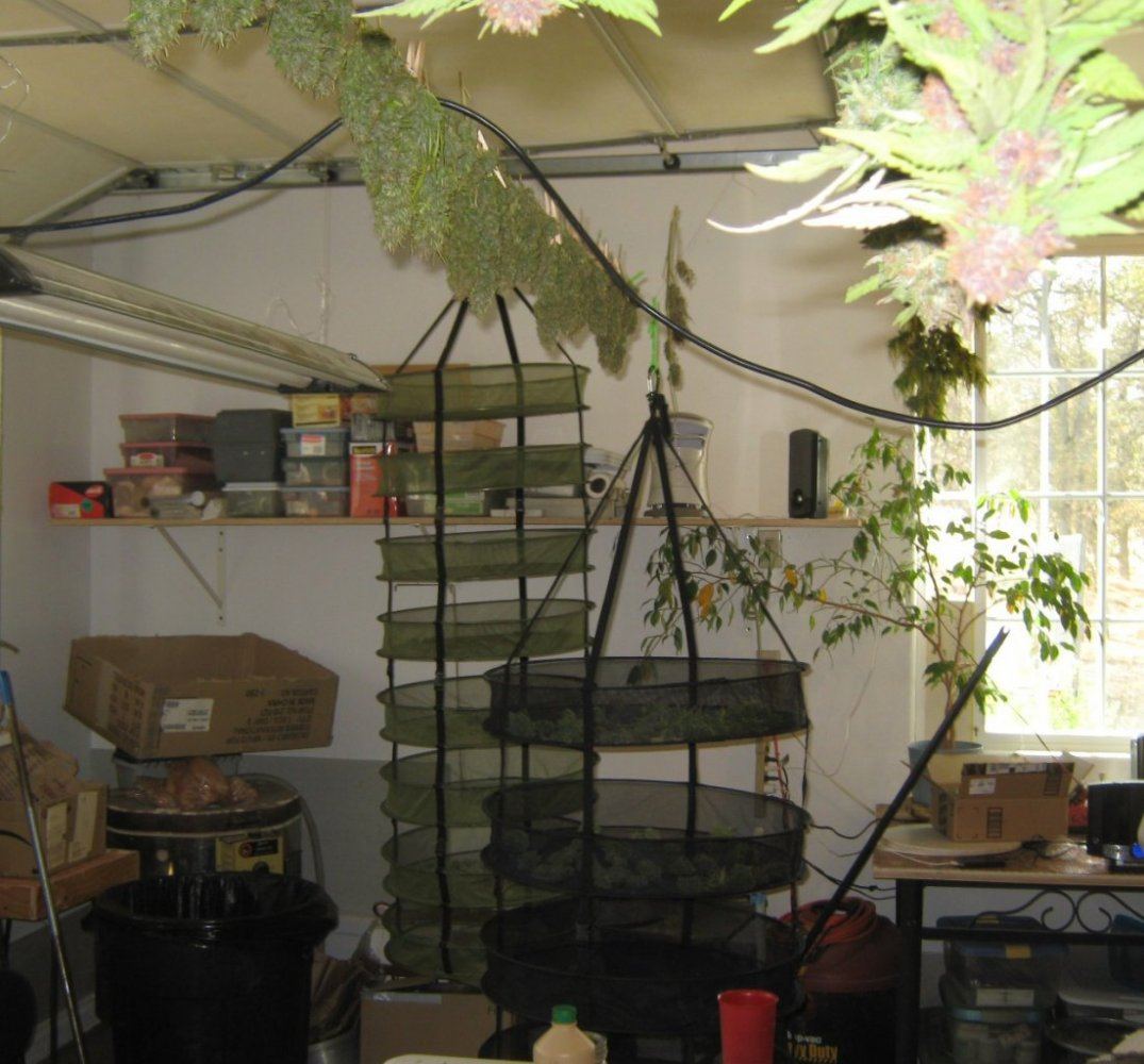 Trim room