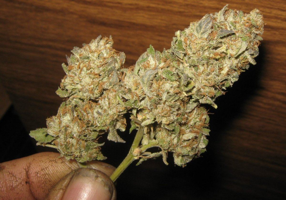 Trimedcookies