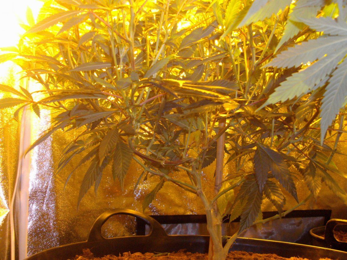 Trimmed up shots 006
