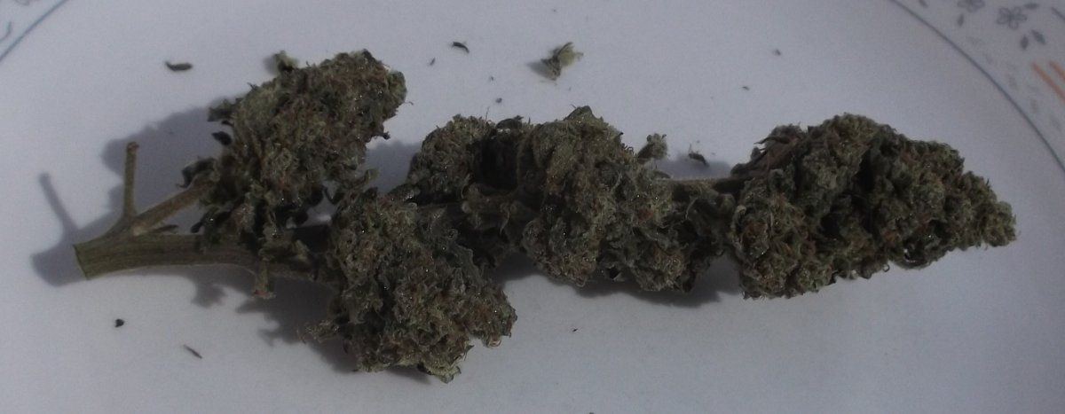 Trimmed2