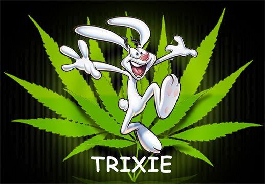 Trixie