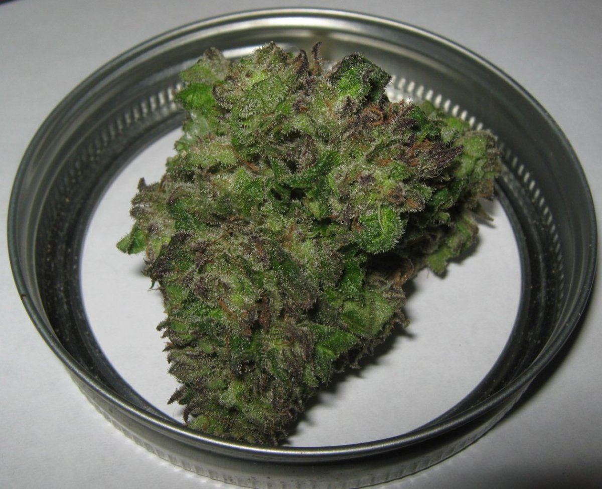 Tropicoma1bud47