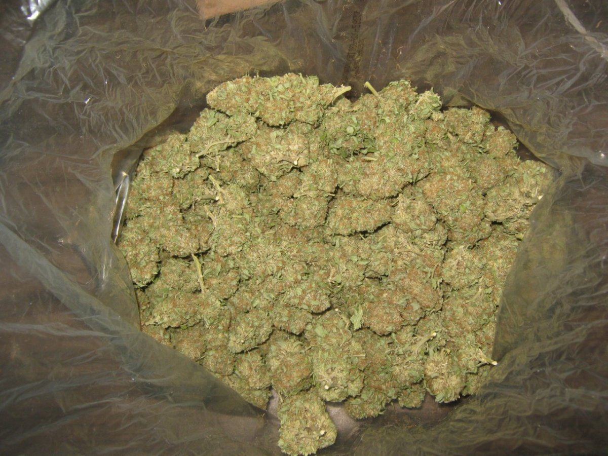 Tropicomabaged