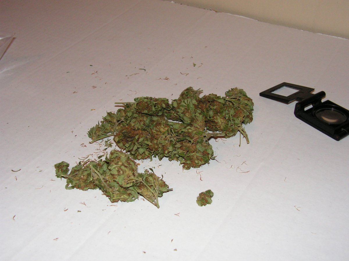 Troy weed 1