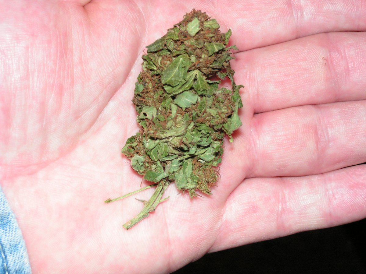 Troy weed 2