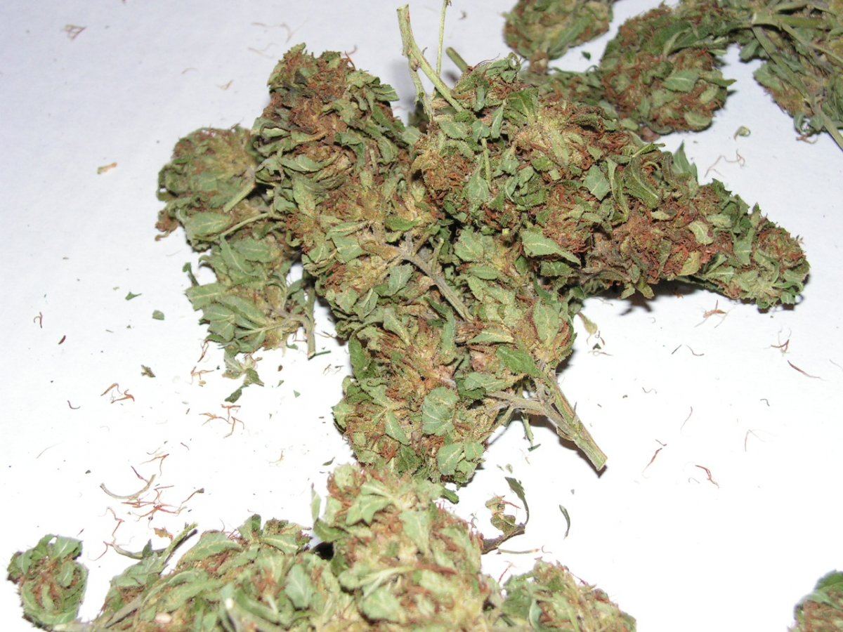 Troy weed 3