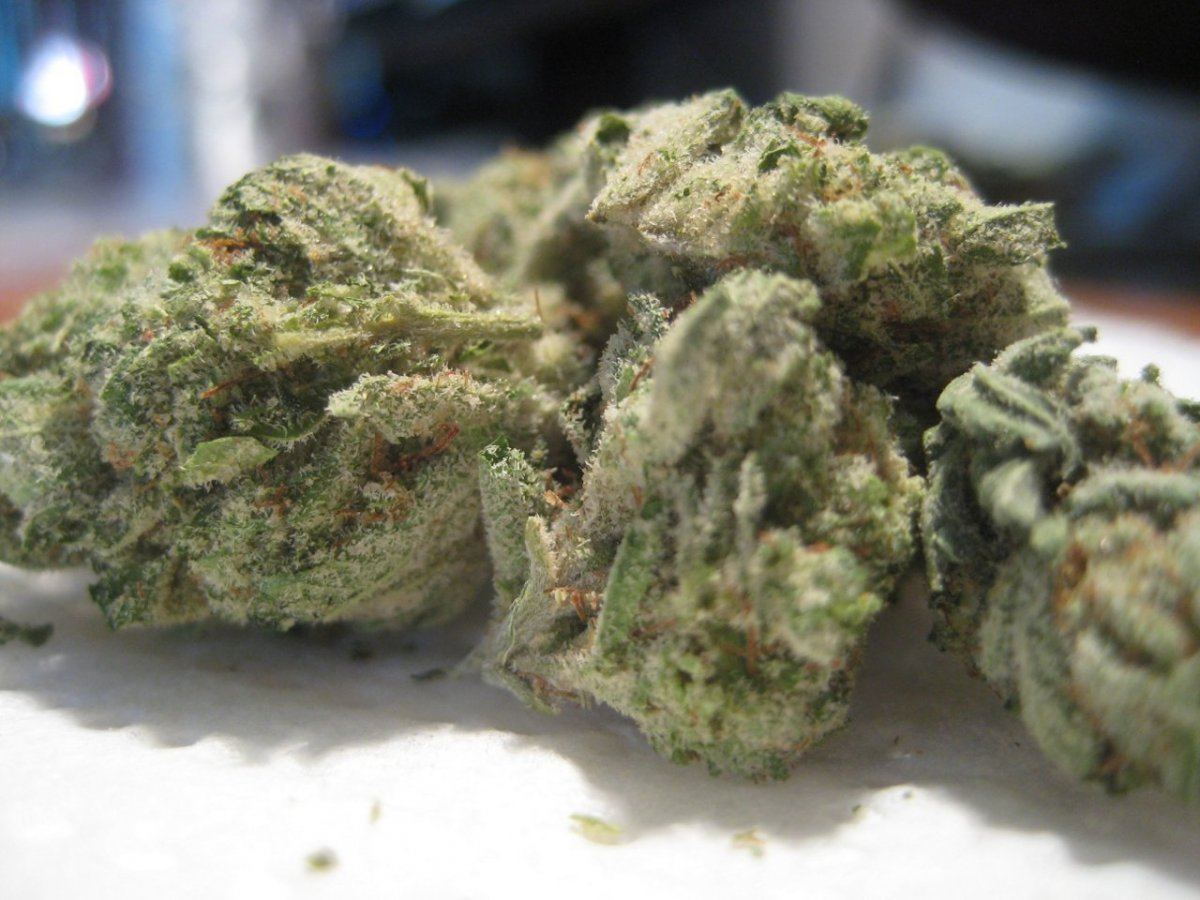 True oakland og 019