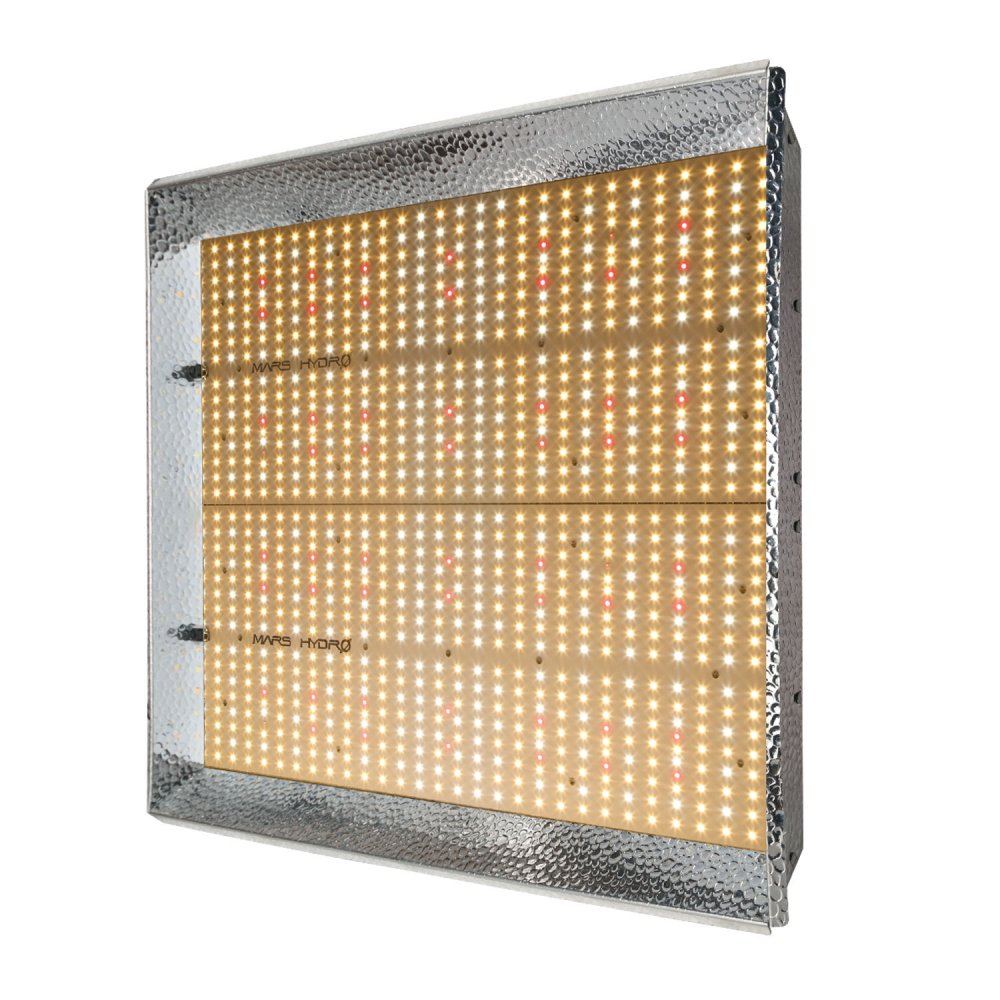 TS3000 head pic