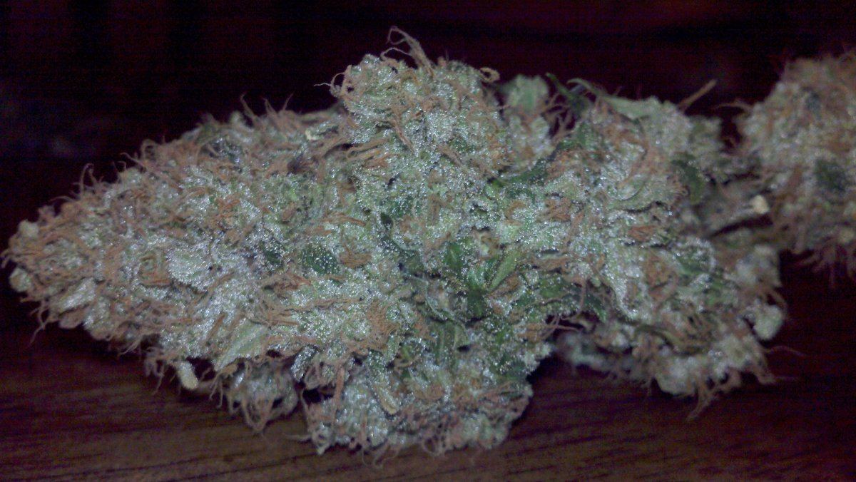Tsd5aharvest